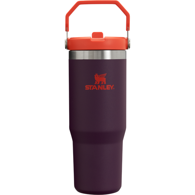 Stanley IceFlow Stainless Steel Tumbler  Vacuum Insulated Water Bottle for Home  Office or Car Reusable Cup with Straw Leak Res