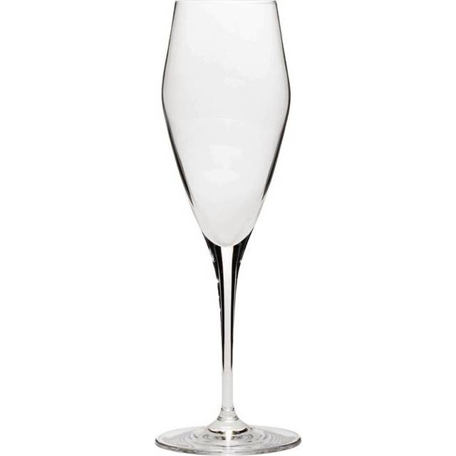 Spiegelau Hybrid Champagne Flutes 260ml (Pack of 12)