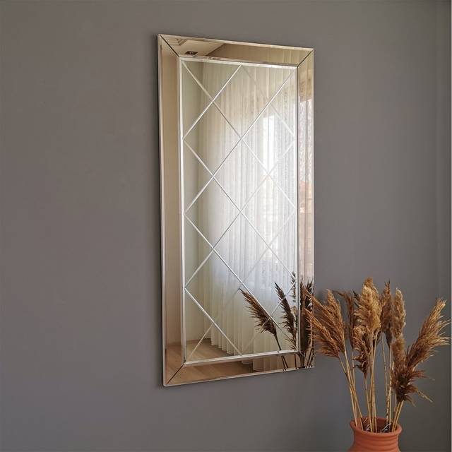 Abigail Wood Framed Wall Mount/Leaning Full Lenghth Mirror in Silver (130cm H X 65cm W X 2.2cm D)