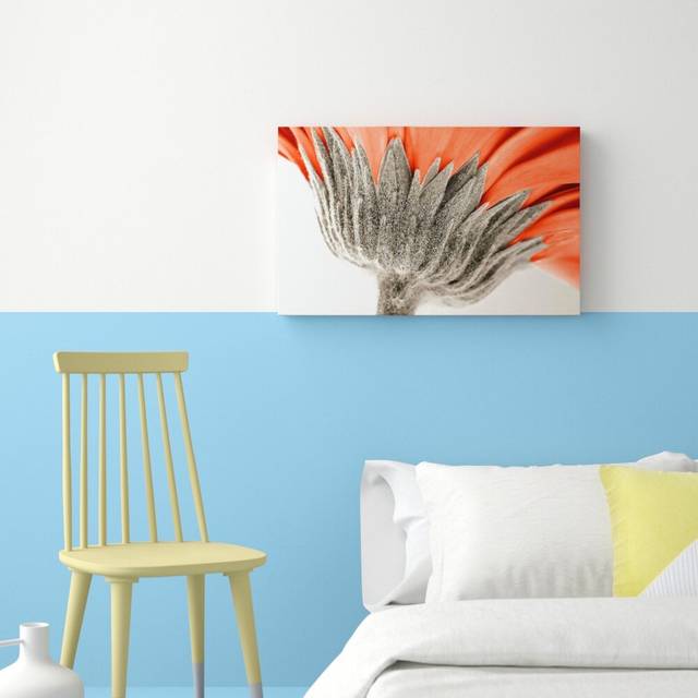 Underside View Of A Daisy Flowers Canvas Print Wall Art (50.8 cm H x 81.2 cm W)