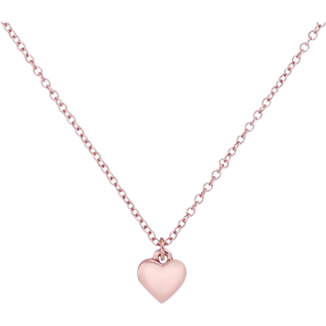 Ted Baker Hara Tiny Heart Pendant Necklace
