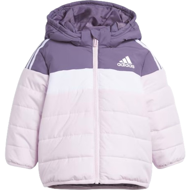 adidas Performance Vadderad jacka - IN F PAD JKT - Shavio - adidas Performance - 74 - Dunjacka