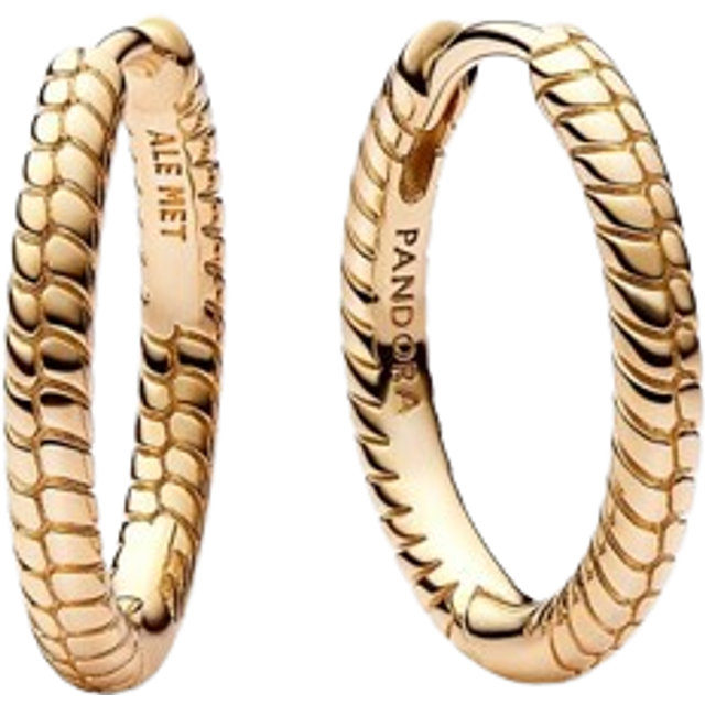 Pandora Earrings Pandora Moments Hoop Earrings for Small Charm 262728C00