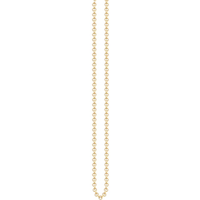Thomas Sabo Round belcher chain Thickness 2.00 mm (0.08 Inch)  KE1219-413-12-S - yellow gold-coloured
