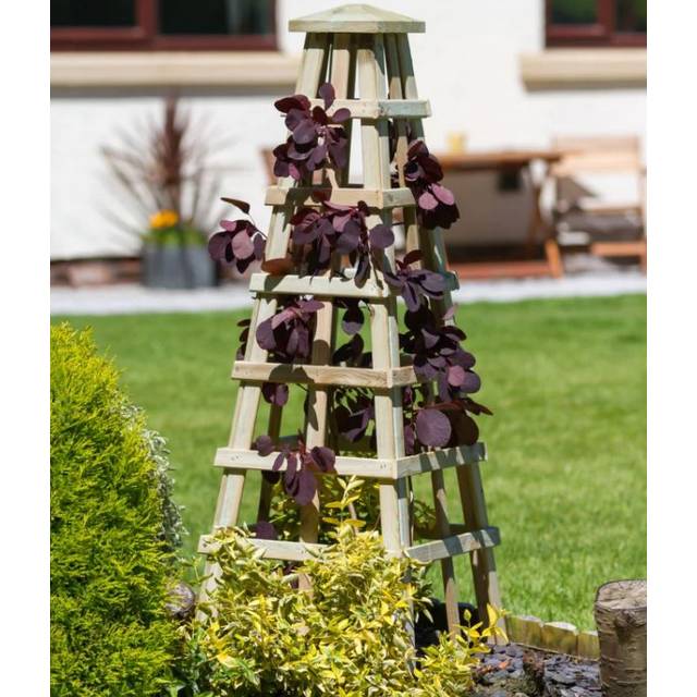 Zest - Scafell Pike Obelisk Wooden Garden Plant Rose Flower Support