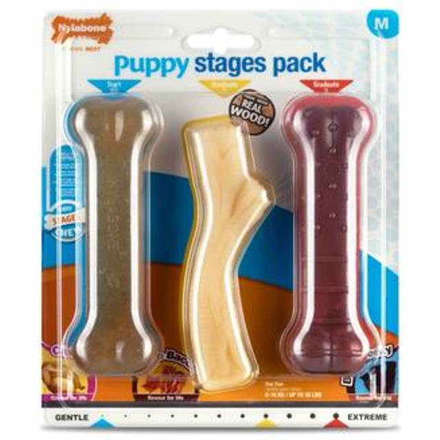 Nylabone Puppy Stages Pack Chew Toys - Medium