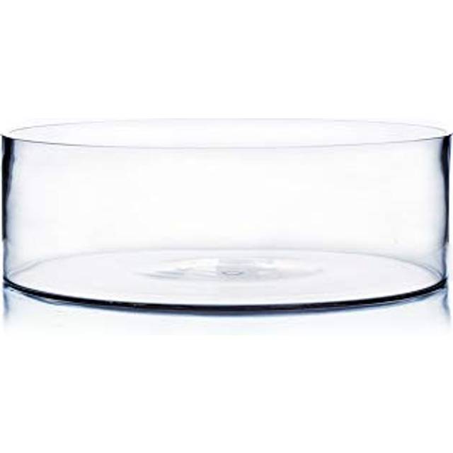 "WGV Cylinder Vase  Open Width 12""""  Height 4""""  Clear Flat Pan Style Container  Planter Terrarium  Floral Centerpiece for Wedding Party Event  Home Of"