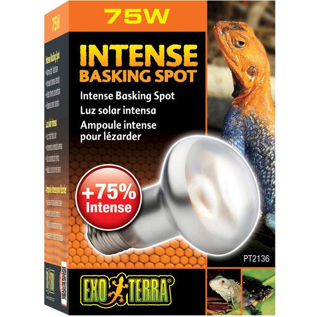 Exo Terra Intense Basking Spot 75 W