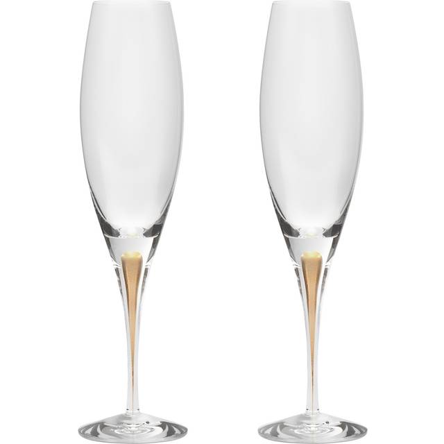Orrefors Intermezzo champagneglas 26 cl 2-pack Guld - Guldfärgad