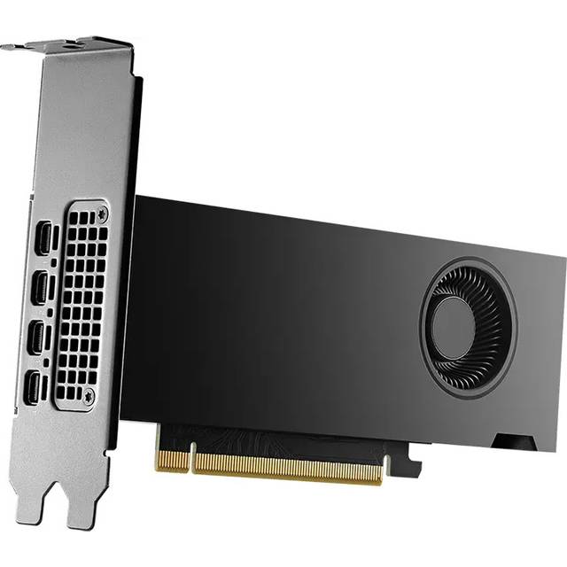 NVIDIA RTX 2000 Ada Generation - Grafikkort - NVIDIA RTX 2000 Ada - 16 GB GDDR6 - PCIe 4.0 x16 - 4 x Mini DisplayPort - detaljhandel