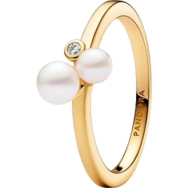 Pandora Damenring Pandora Timeless 163156C01-52 - gold