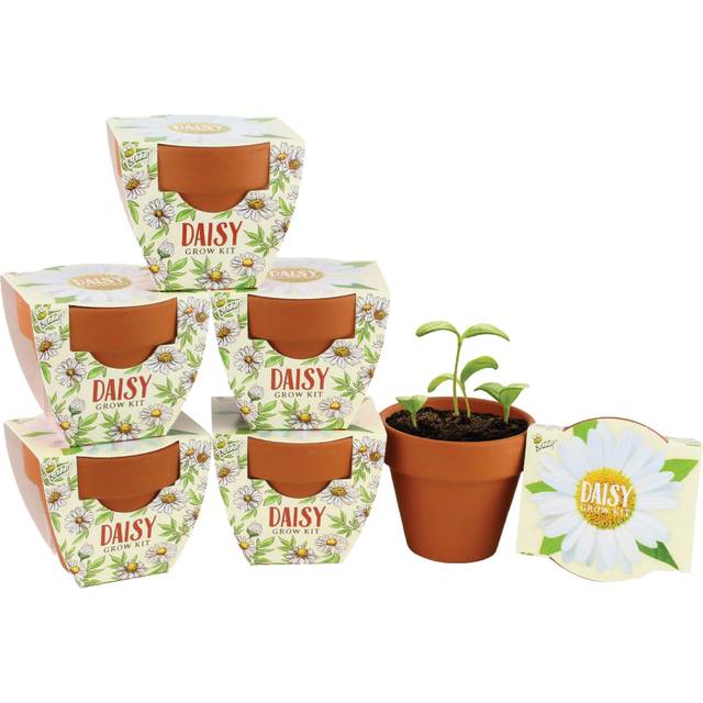 BUZZY Terracotta Mini Grow Pots  Mini Daisy 6-Pack  Daydream Collection  Best Gardening Gifts  Favors  Weddings  Parties  Events  Modern  Trendy  Uniq