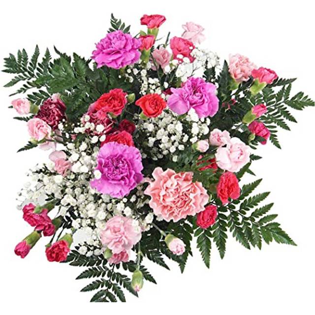 Flowers Delivery Next Day Prime UK - Pink Mixed Carnation Bouquet - Long Lasting & Pretty Bunch Delivered