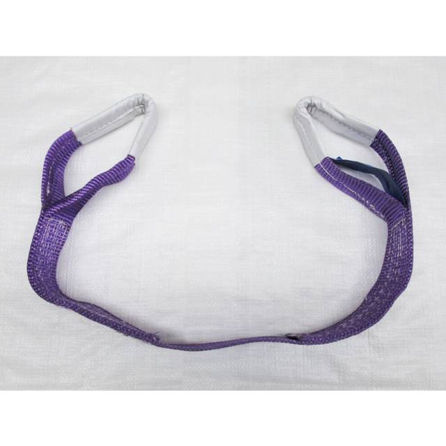Simplex Web Sling 1 Ton 2 Metre 60MM Width (1T 2M Violet Strap Hoist Lifting 1000KG)