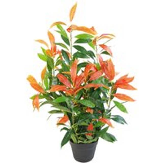 80cm Artificial Red and Green Ficus Plant