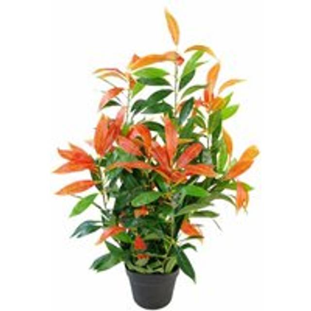 80cm Leaf Realistic Red Robin Artificial Ficus Tree / Plant