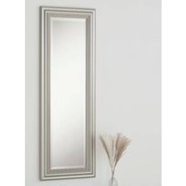 Burdick Glass Framed Wall Mounted Accent Mirror in Champagne (44.5cm H x 128.5cm W)