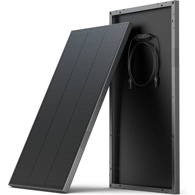 EcoFlow ZMS331 solar panel 100 W Monocrystalline silicon