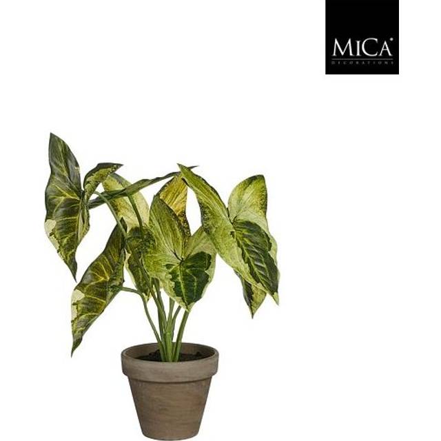 Mica Decorations Syngonium gåsefod høj Staude