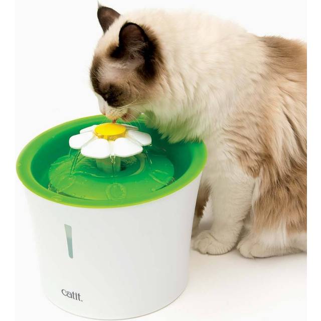 Catit 2.0 flower fountain cat kitten running filtered drinking water