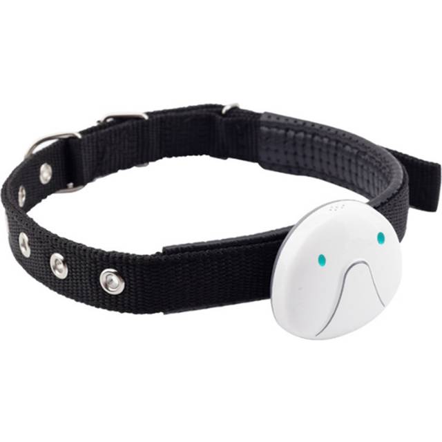 Pet Tracker Waterproof Dog GPS Collar WiFi Realtime Tracking Remote Geo-Fence Longtime Standby Pet GPS