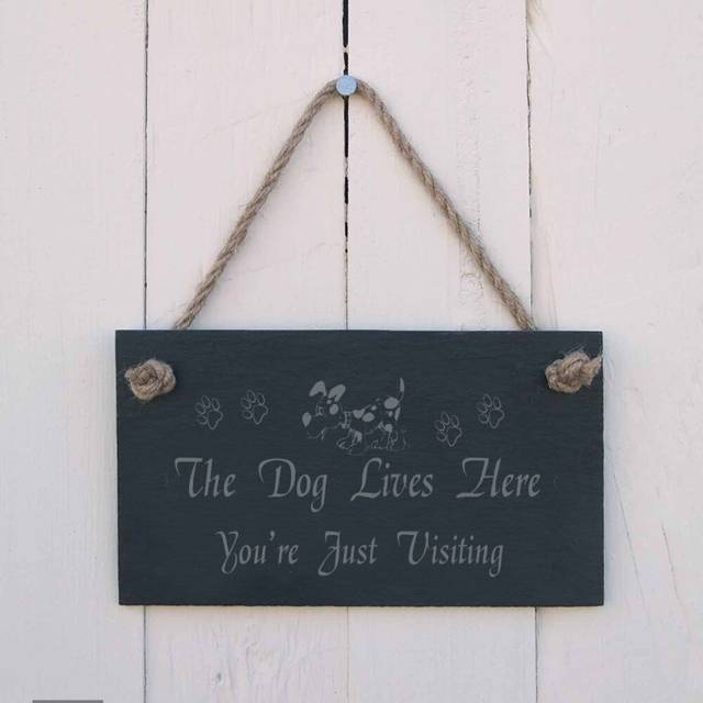 Slate Hanging Sign with the Dog Lives Here Your Just Visiting Wall DÃ©cor - Charcoal Grey (10cm H X 18cm W)