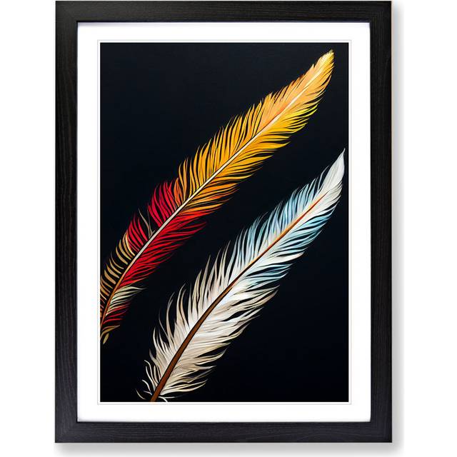 Pair of Feathers - Picture Frame Graphic Art - Black Framed (34cm H x 25cm W x 2cm D)