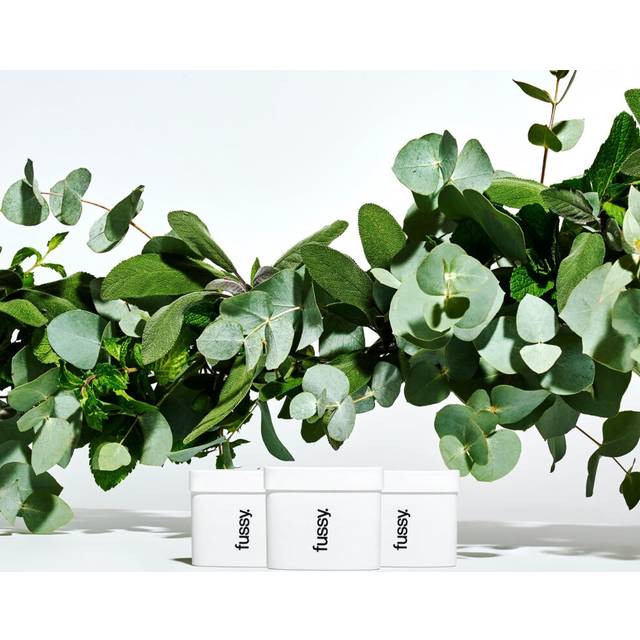 - Natural Deodorant Refill - Pack of 3 - Aluminium Free - Mint Scent - 24 Hour Protection - 100% Effective - Wavy Days - Peppermint, Eucalyptus & Sage