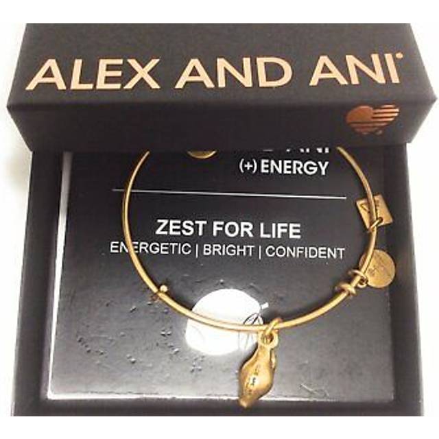 Alex and ani charity by design zest for life bangle bracelet