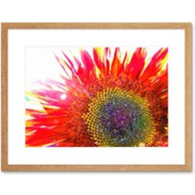 Wall Art Print Red Sunflower Head Close Up Framed - Beige - W7 inch x H9 inch
