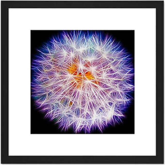 Painting Digital Neon Dandelion Head 8X8 Inch Square Wooden Framed Wall Art Print Picture with Mount - Black - One Size