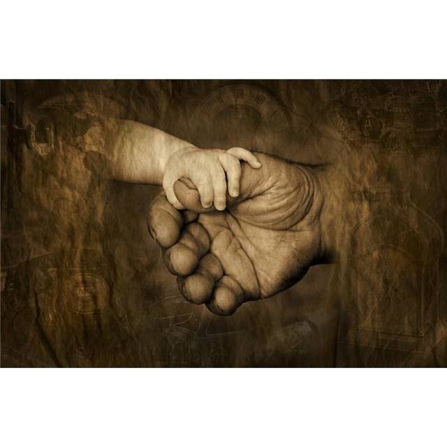 Childs Hand Holding Adult Hands Poster Print by Corey Hochachka, 34 x 22 - Large