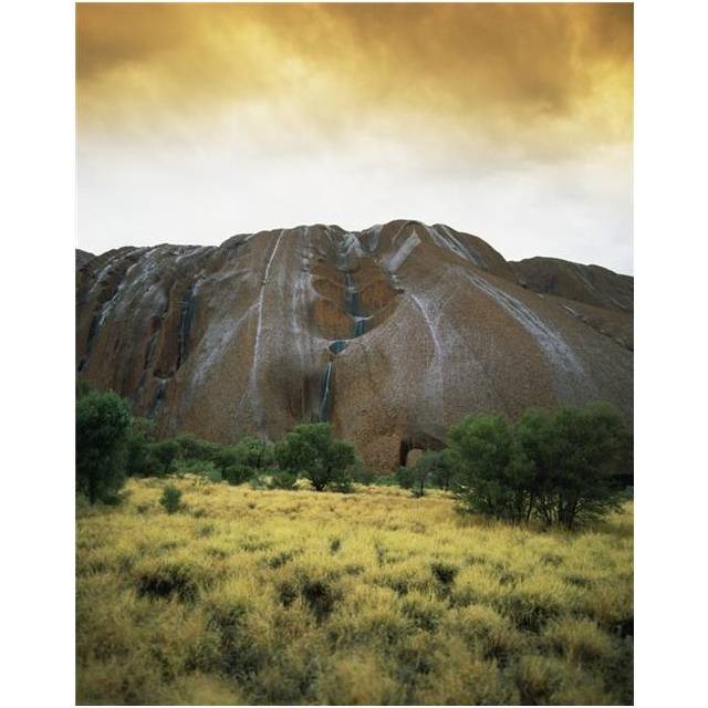 Uluru During The Rain Central Australia - Northern Territory Australia Poster Print - 13 x 17 in.