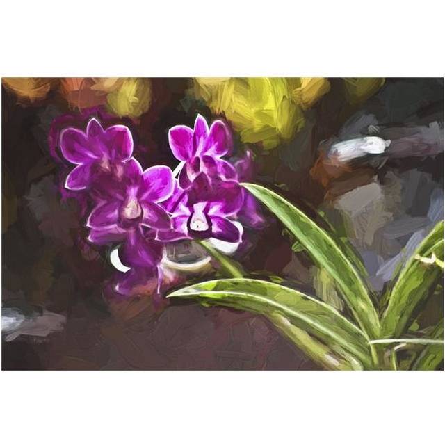 Purple Vanda Orchid - Honolulu Oahu Hawaii United States of America Poster Print - 19 x 12 in.