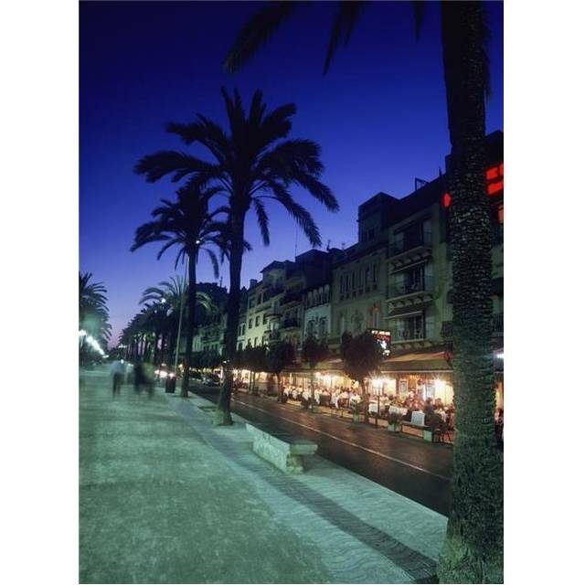 Palm Tree Lined Promenade with People Eating In Restaurants At Dusk Poster Print, 13 x 18