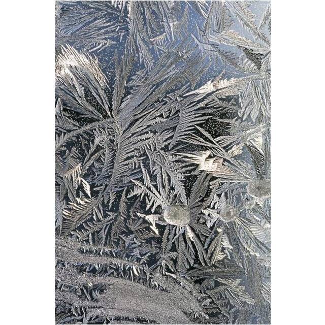 Posterazzi DPI1900629 Frost Crystals On A Window - Calgary, Alberta, Canada Poster Print, 12 x 19