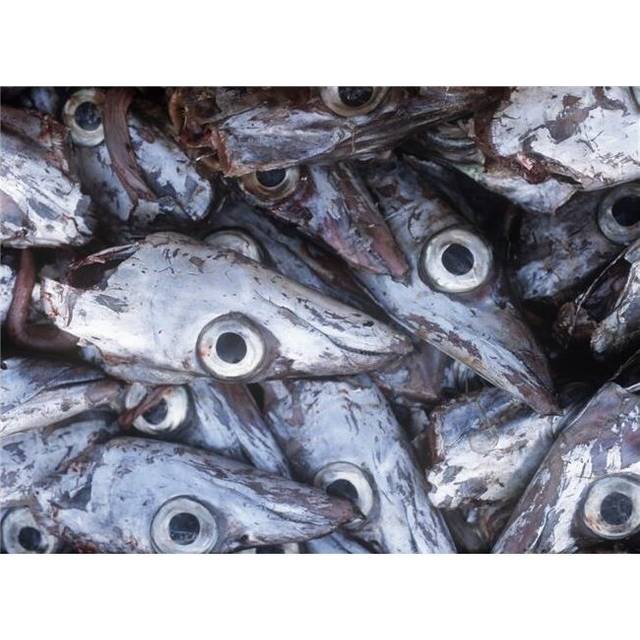 Posterazzi DPI1892211 Detail of Fish Heads Poster Print, 18 x 13