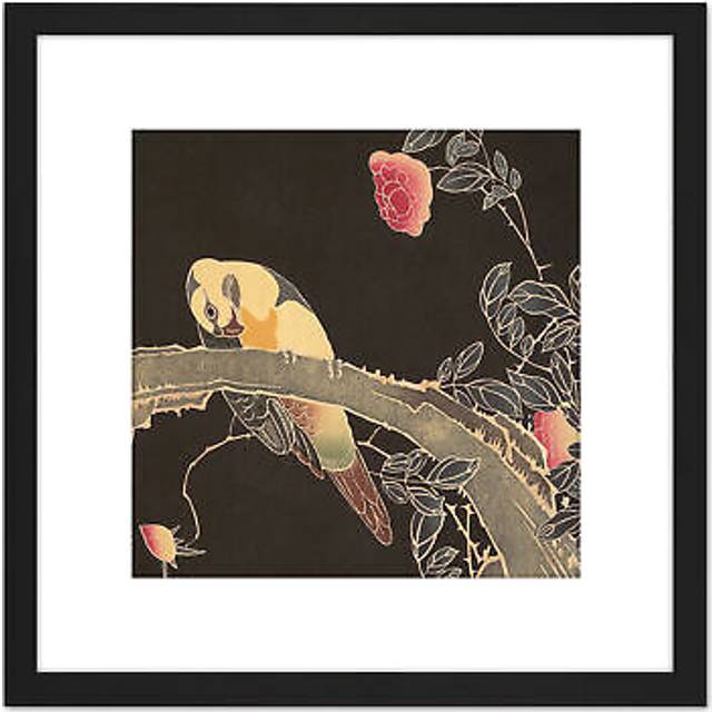 Jakuchu Parrot Branch Flowering Rose Bush Japan Painting 8X8 Inch Square Wooden Framed Wall Art Print Picture with Mount - Black - One Size