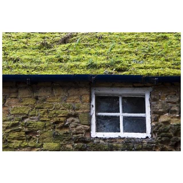 Cottage with Grassy Roof Poster Print by John Short, 34 x 22 - Large