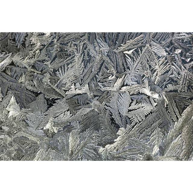 Posterazzi DPI1900628 Frost Crystals On A Window - Calgary, Alberta, Canada Poster Print, 19 x 12