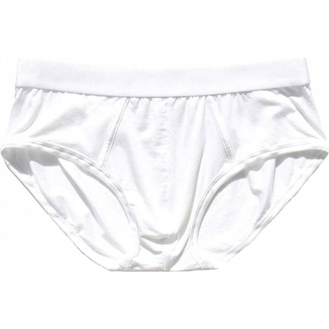 Y-brief vit