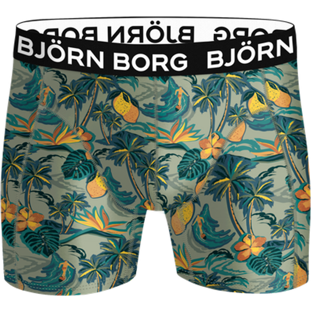 Björn Borg Microfiber Boxer 1-pack Multi, XS