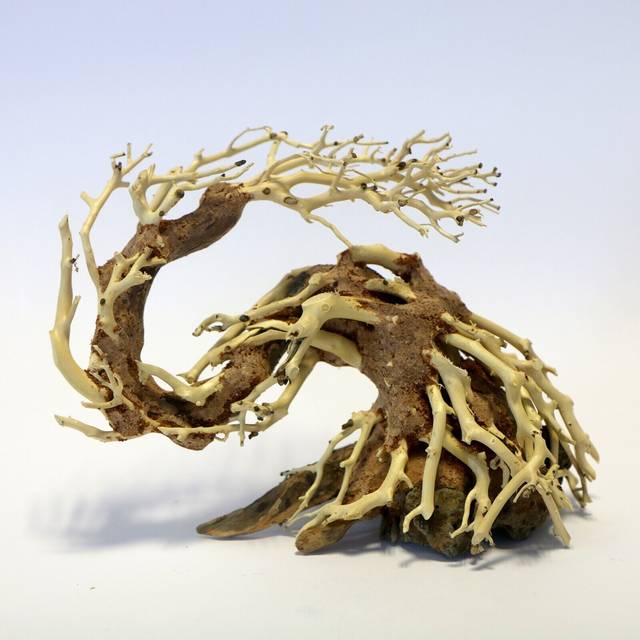 Betta dragon tree 22x15x10cm aquarium fish tank ornament decoration mt040