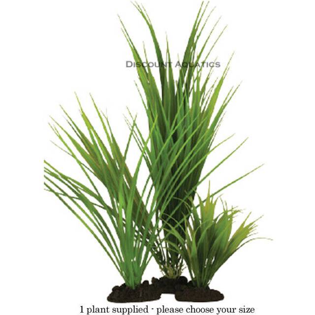 Hugo Variegated Rush 13cm Decor Options: 13cm