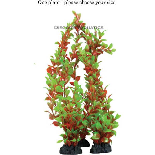 Hugo Ludwigia Red/Green 20cm Decor Options: 20cm