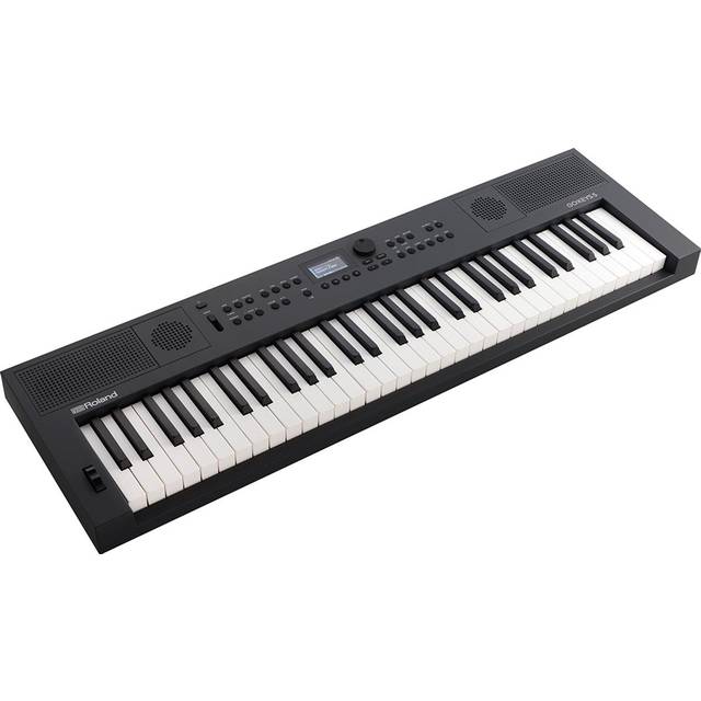 Roland GO:KEYS 5 61-Note Music Creation Keyboard with ZEN-Core Engine and Mic Input (Graphite)