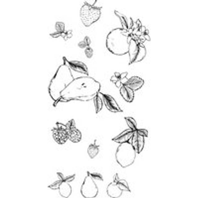 Sizzix 19-Pack Clear Stamps Set - Botanical Fruit, none