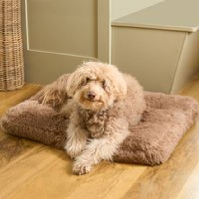 OHS Rectangular Fluffy Mat Pet Bed - Mink - Natural