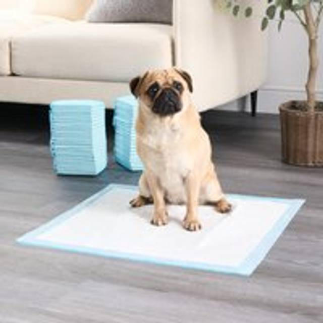 100 Pack Large Absorbent Pet Dog Puppy Training Floor Mat Pads - White