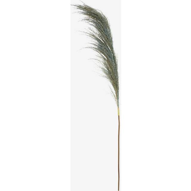 Premier Housewares - Fiori Pampas Grass Blue Stem